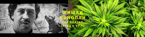spice Осинники